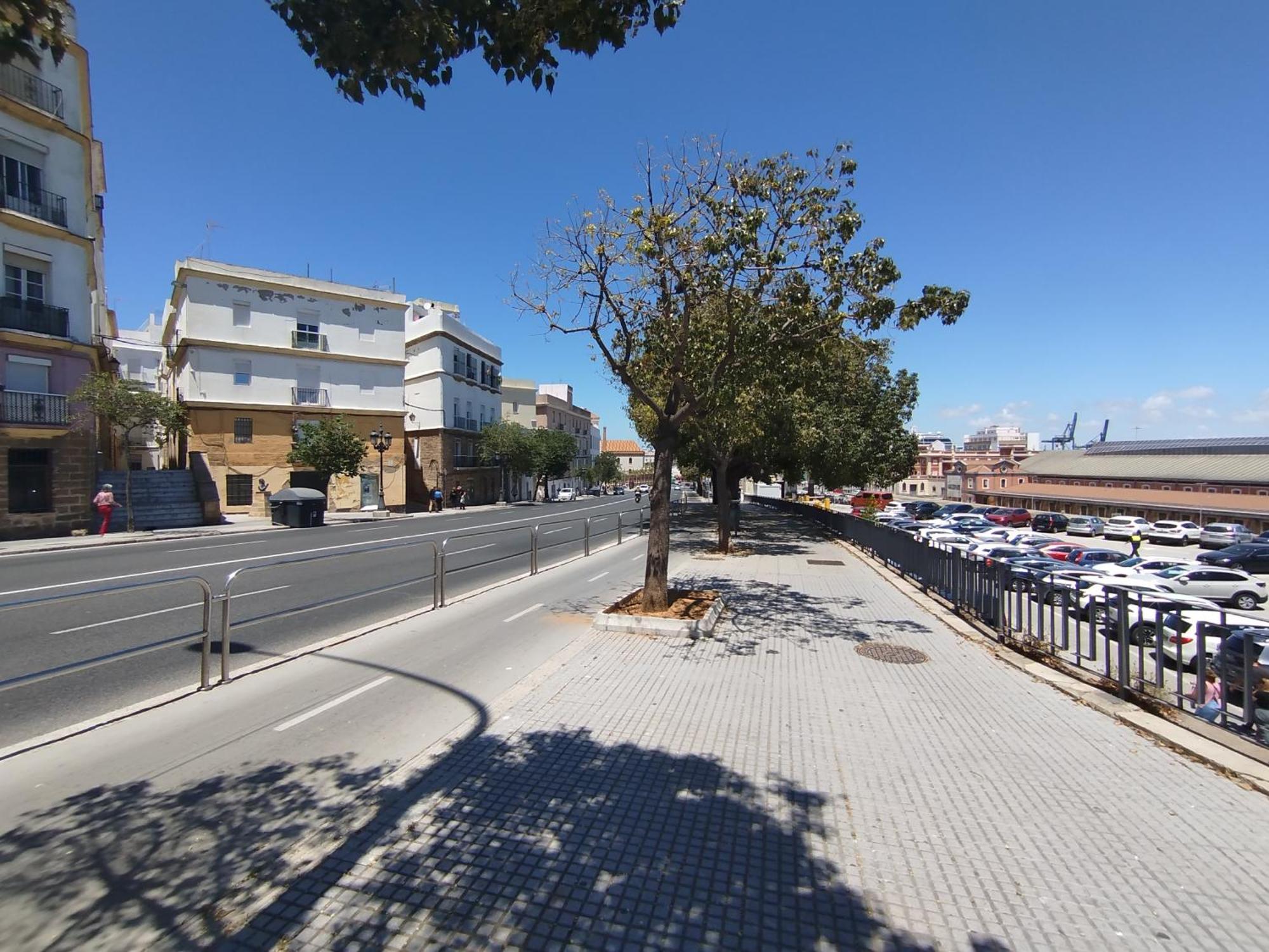 Cadiz Centro Goleta Loft By C.Dreams Apartment Екстериор снимка